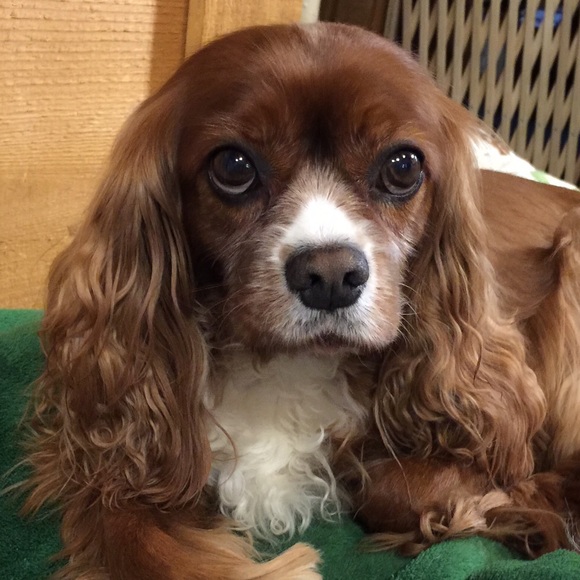 Meet your Posher, Marolyn - Picture 1 of 1